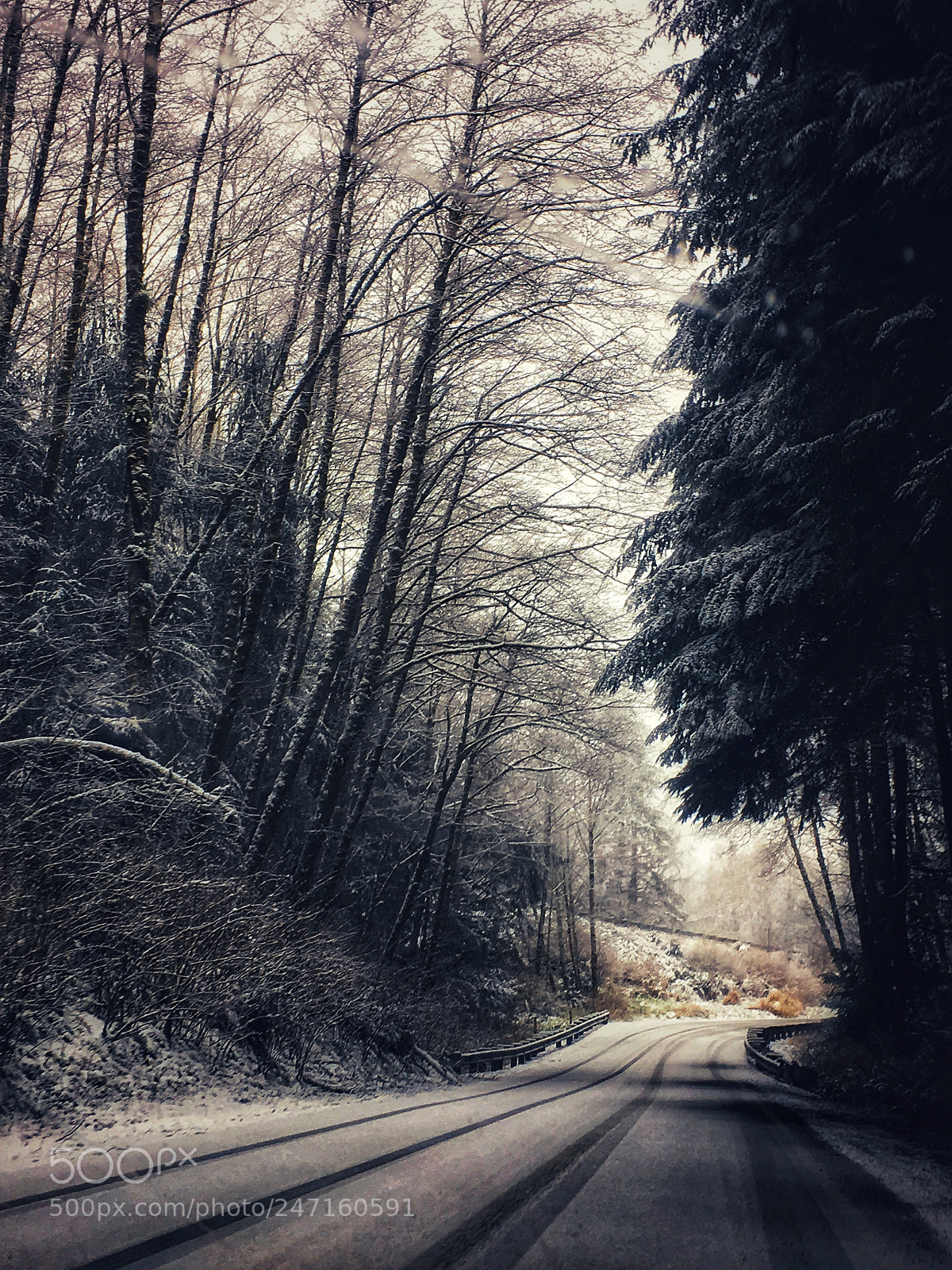 Apple iPhone SE sample photo. Snowing in naselle photography