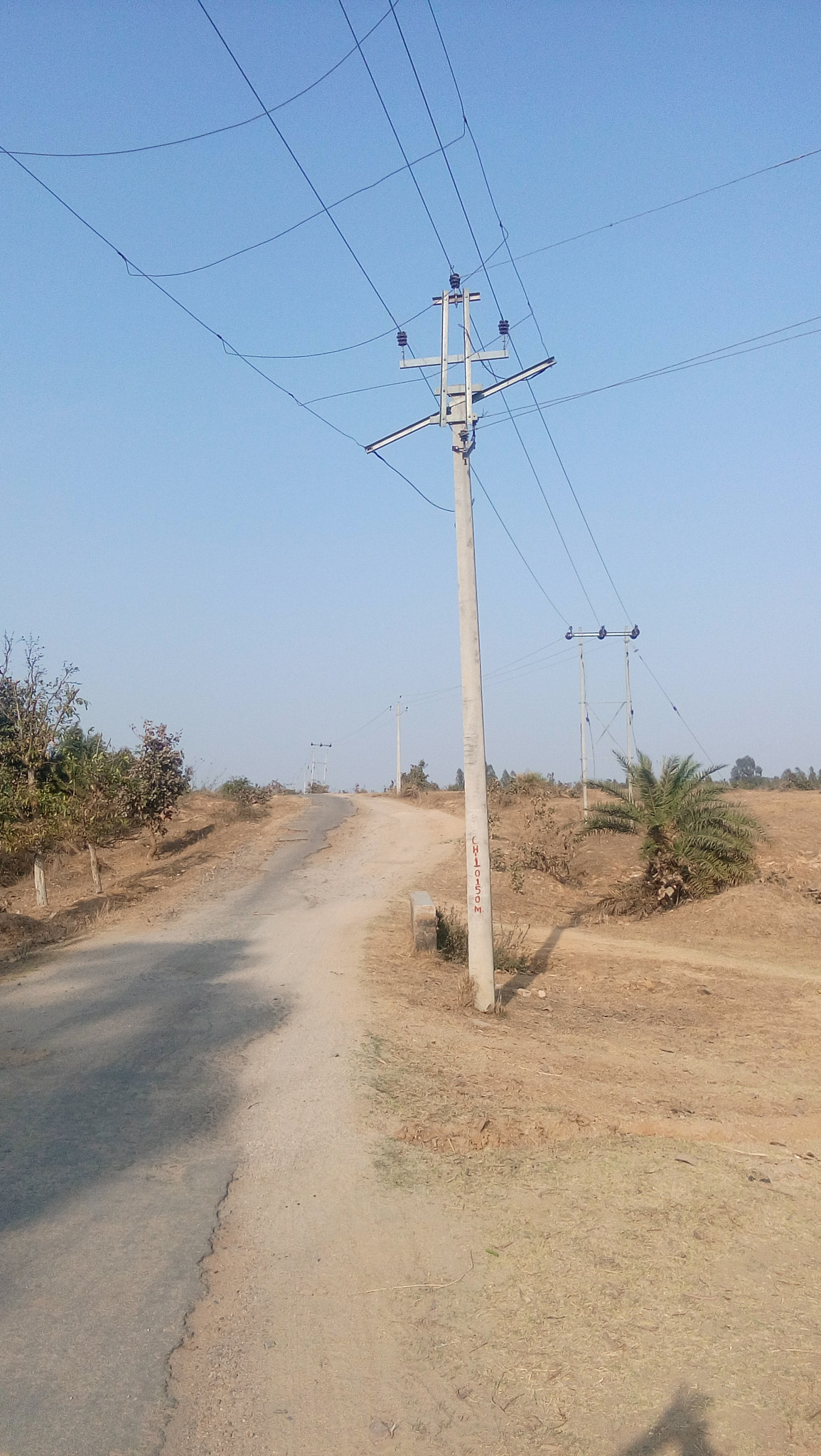 vivo Y31i sample photo. Electric poles in villages photography
