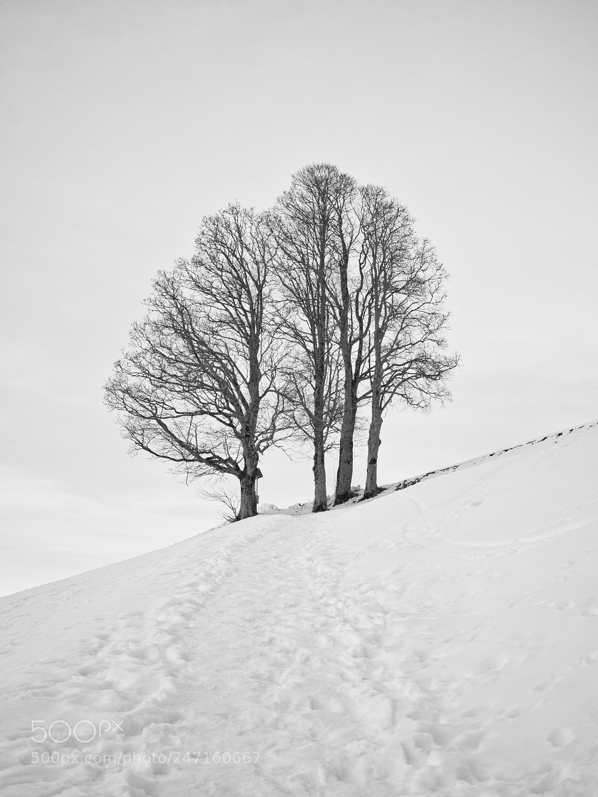 Olympus PEN-F sample photo. Minimalism photography