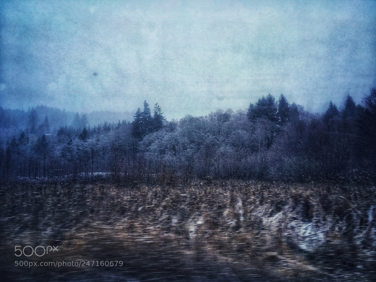 Apple iPhone SE sample photo. Snowing in naselle photography