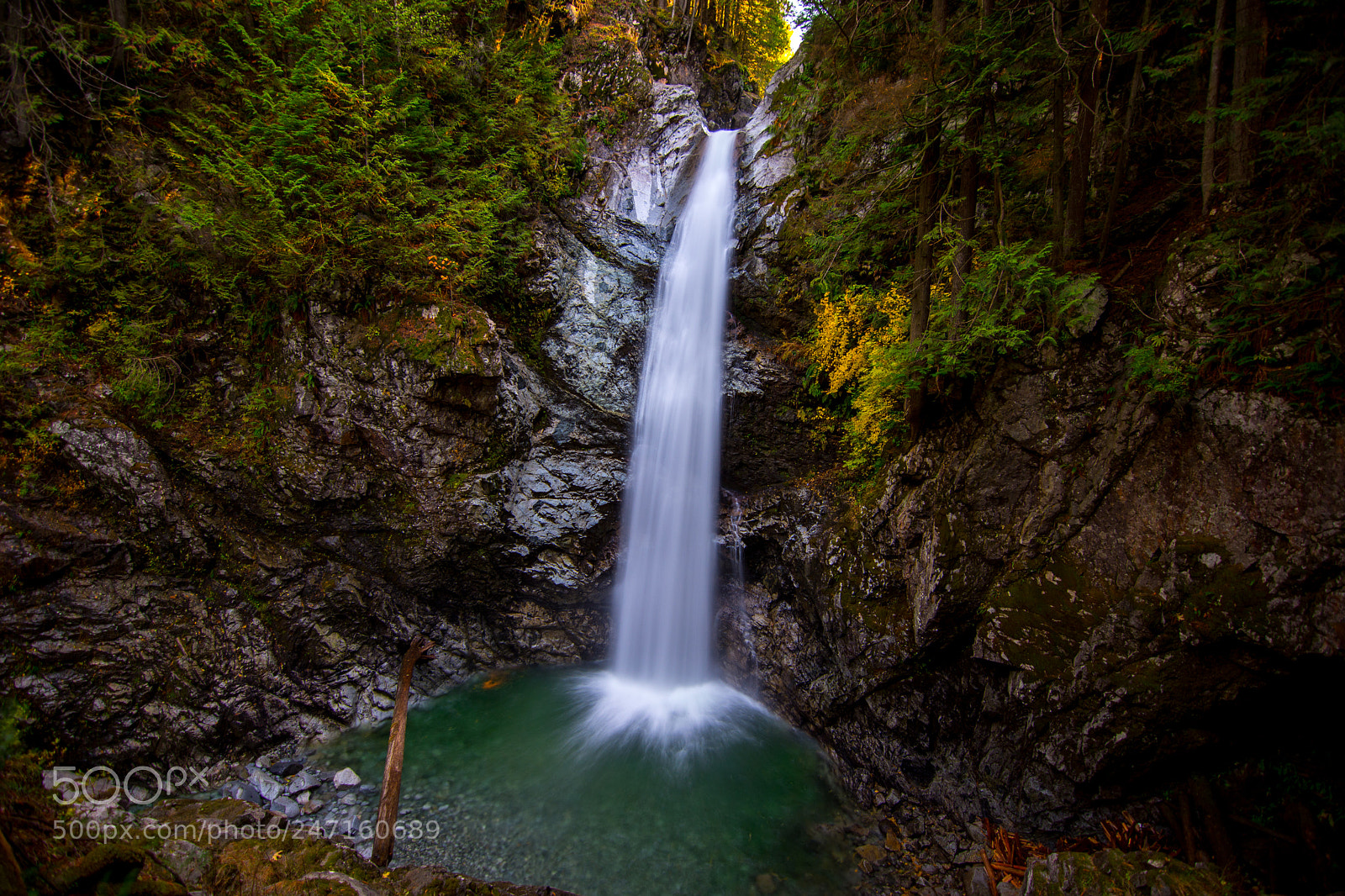 Nikon D7200 sample photo. Cascadia photography