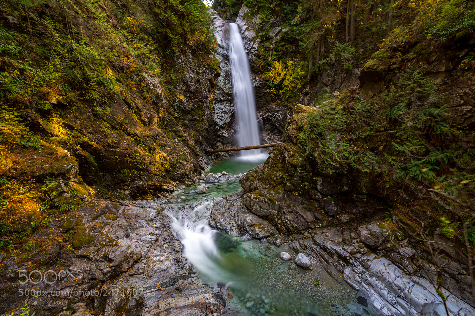 Nikon D7200 sample photo. Cascadia photography
