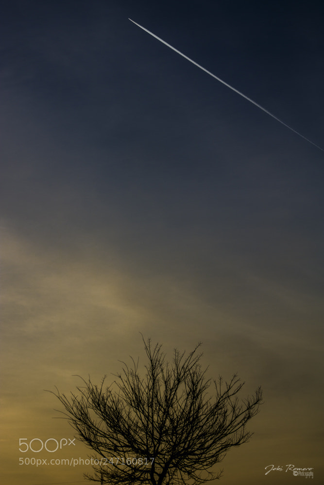 Canon EOS 750D (EOS Rebel T6i / EOS Kiss X8i) sample photo. Crossing  the sky photography