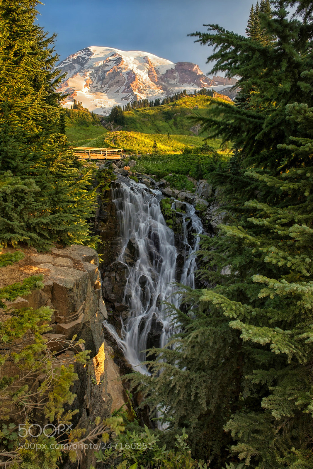 Nikon D810 sample photo. Morning at myrtle falls photography