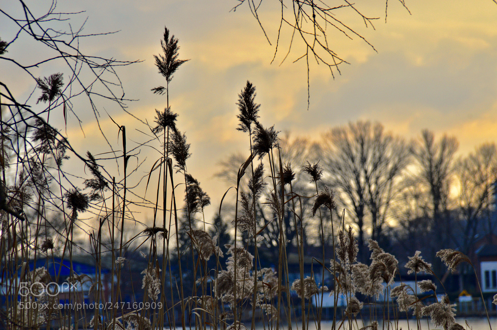 Nikon D3200 sample photo. Alone photography