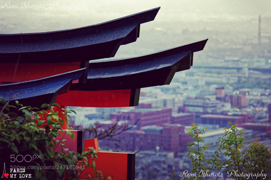 Nikon D7200 sample photo. Kyoto photography