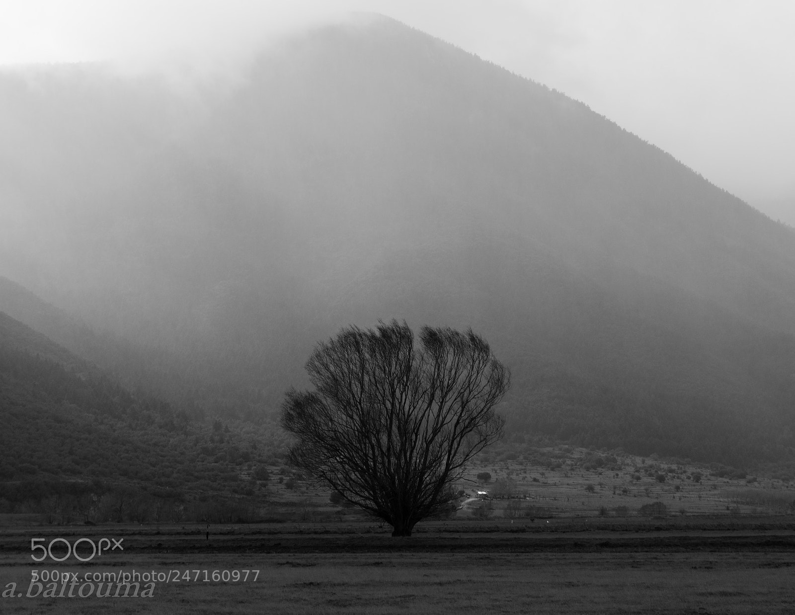 Nikon D5200 sample photo. Lonelyless.... photography