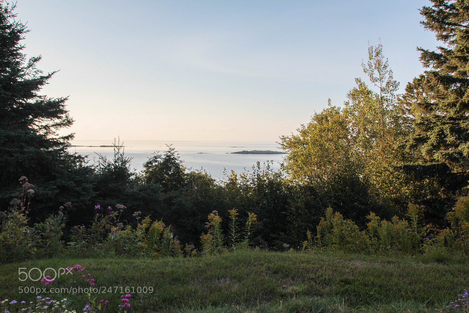 Canon EOS 7D sample photo. Jardins de métis photography