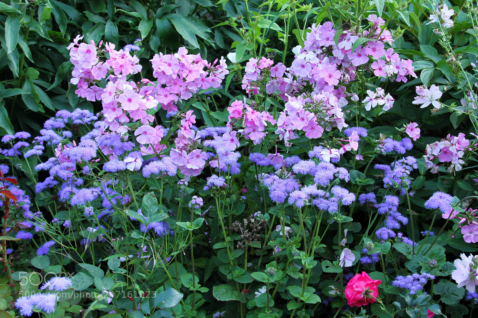 Canon EOS 7D sample photo. Jardins de métis photography
