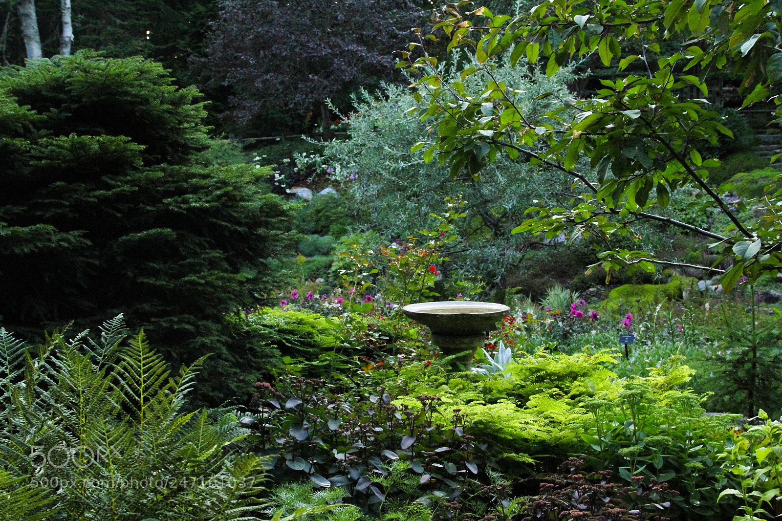 Canon EOS 7D sample photo. Jardins de metis photography