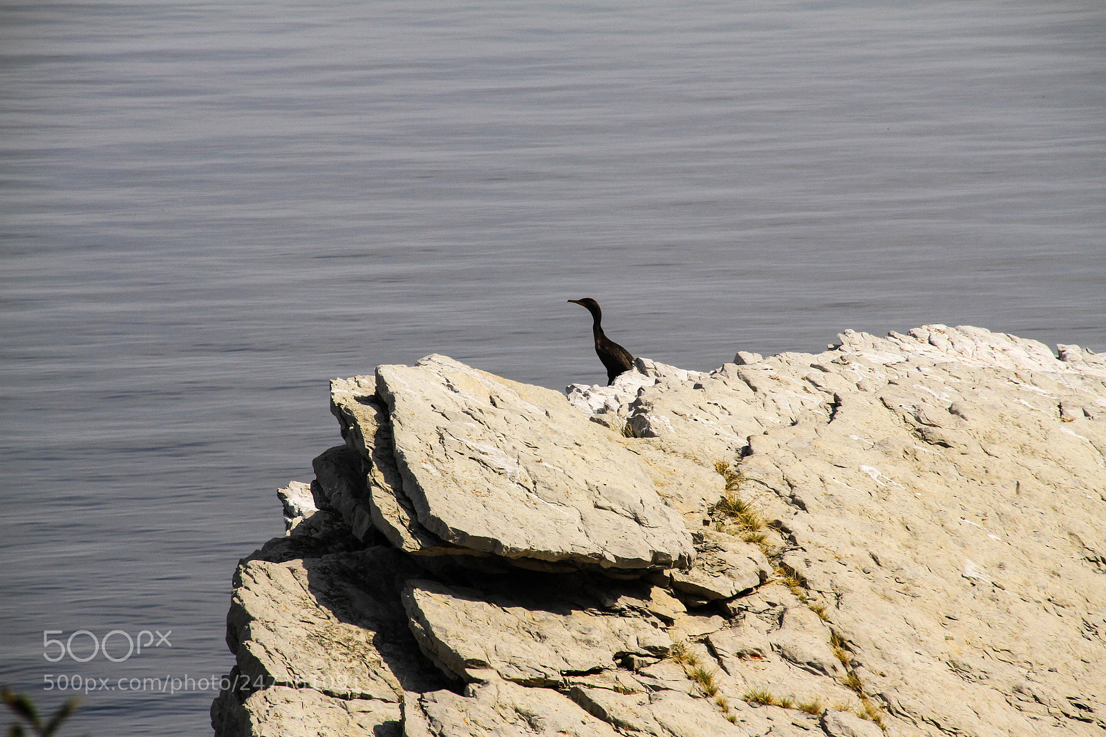 Canon EOS 7D sample photo. Cap bon-ami photography