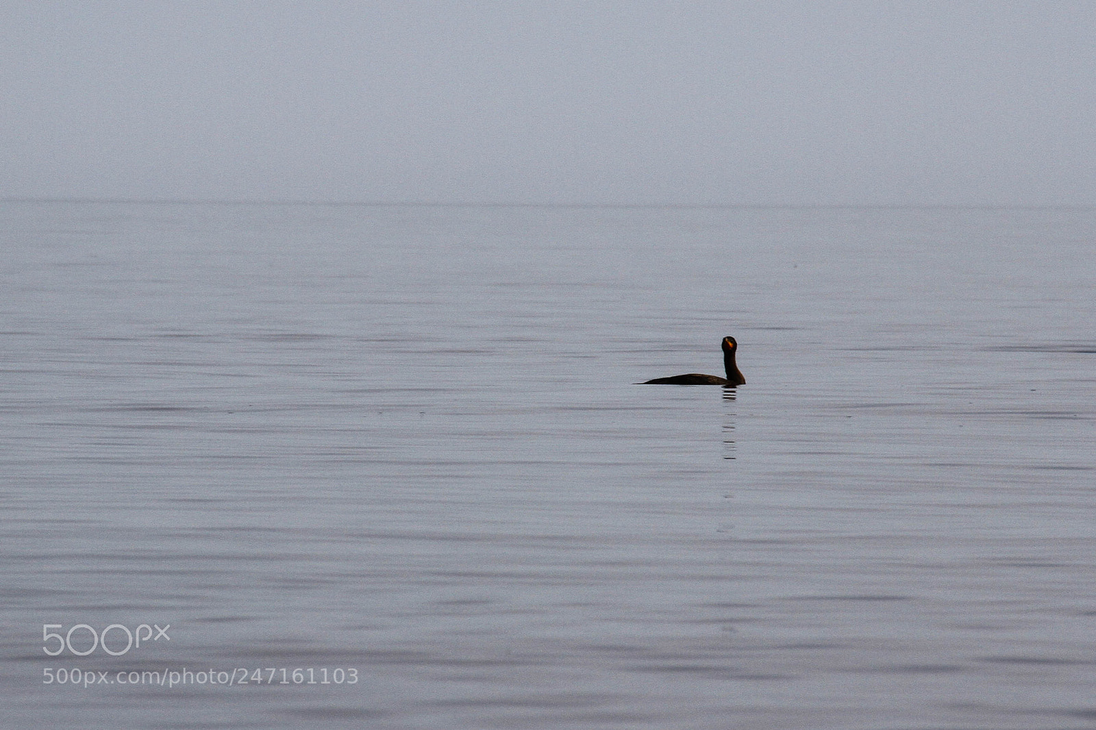 Canon EOS 7D sample photo. Cap bon-ami photography