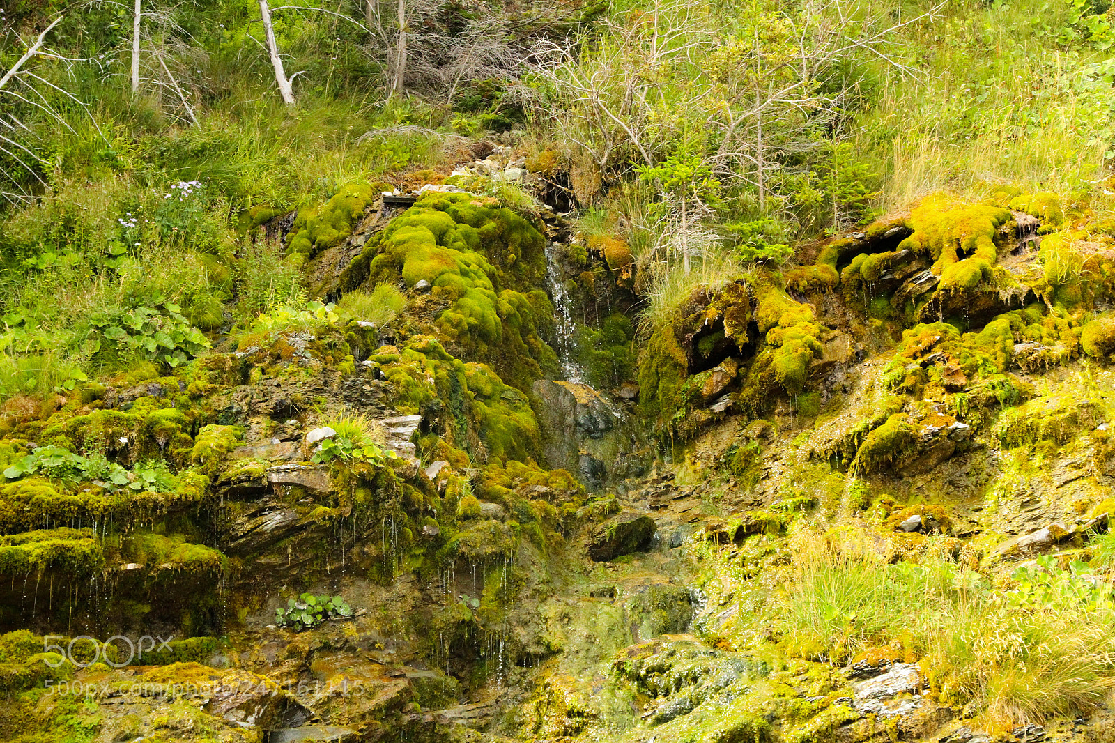Canon EOS 7D sample photo. Chute du parc national photography
