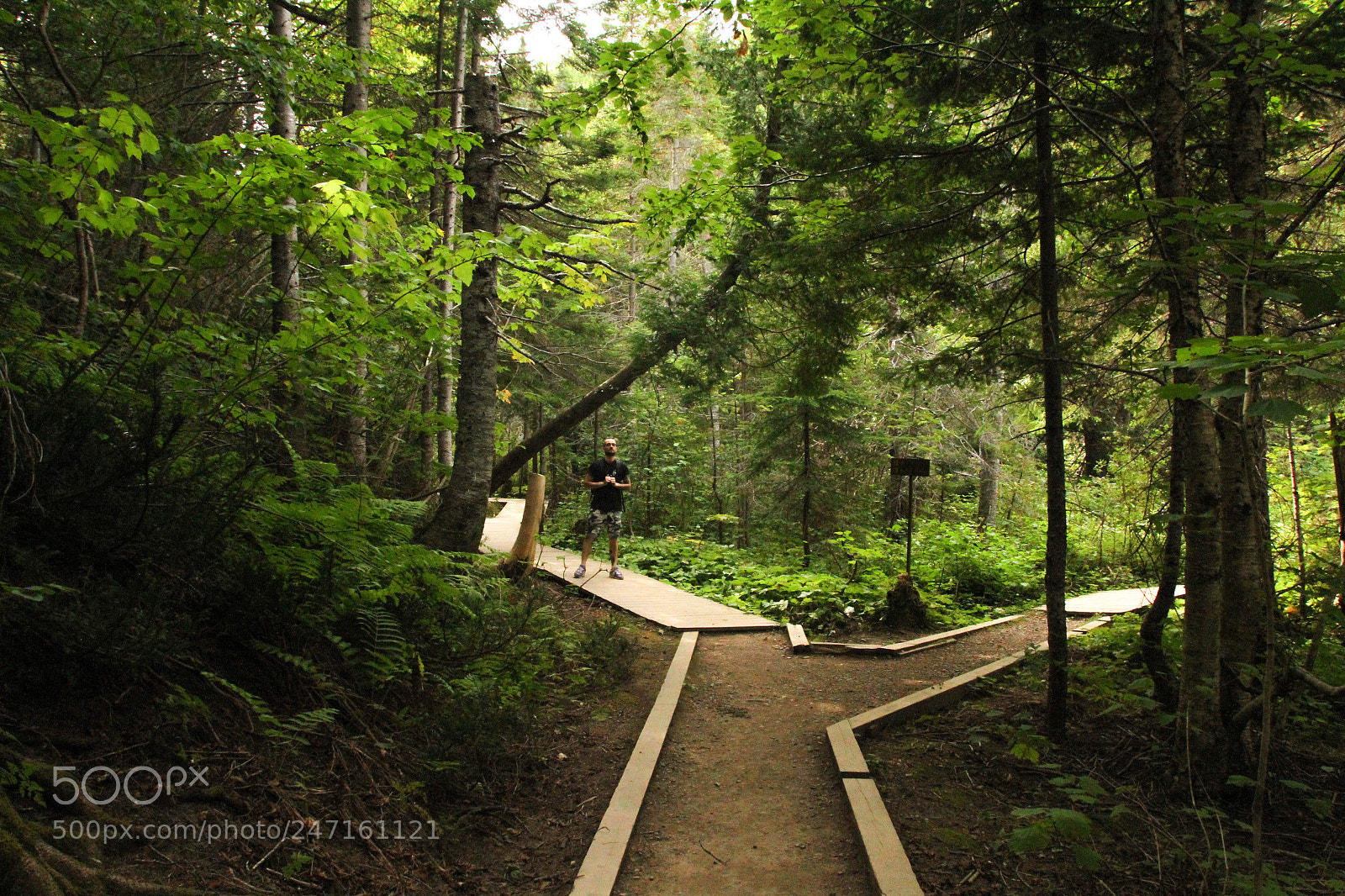 Canon EOS 7D sample photo. Chute du parc national photography