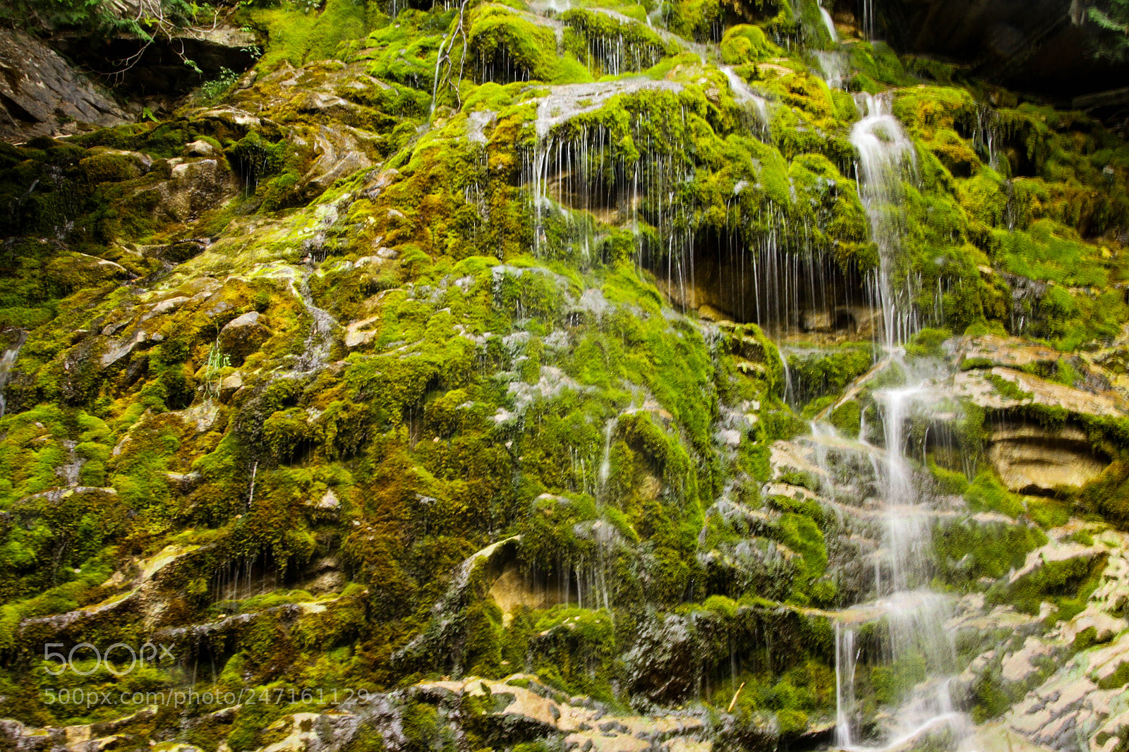 Canon EOS 7D sample photo. Chute du parc national photography