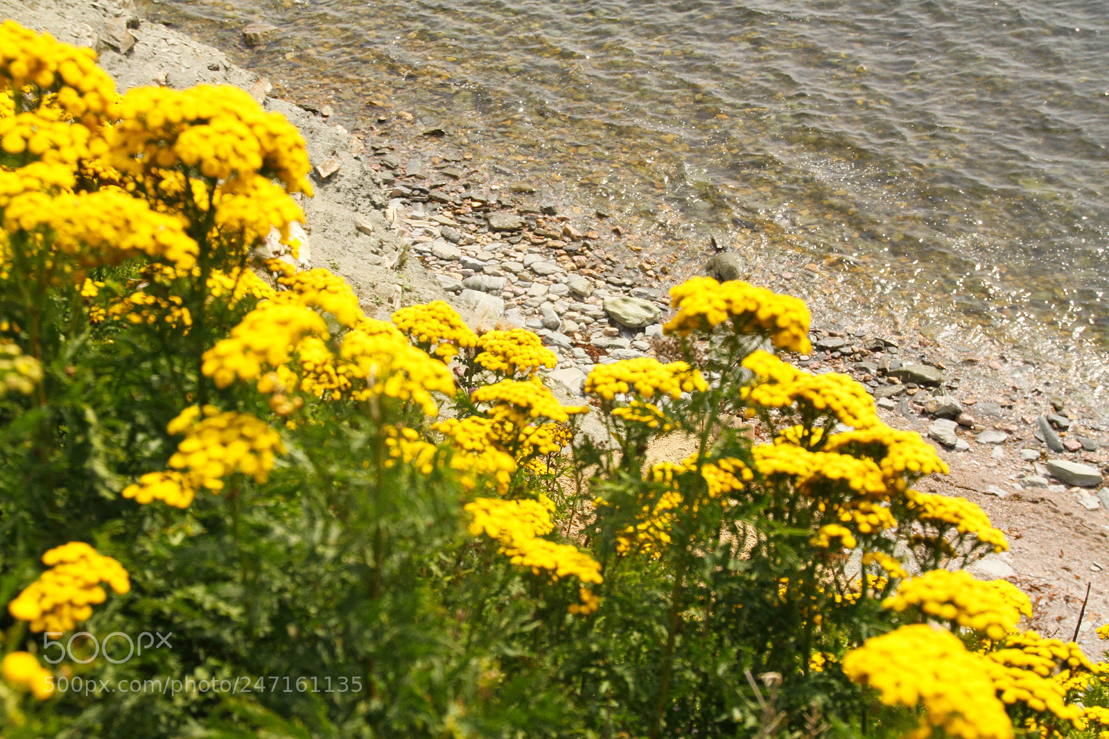 Canon EOS 7D sample photo. Img photography
