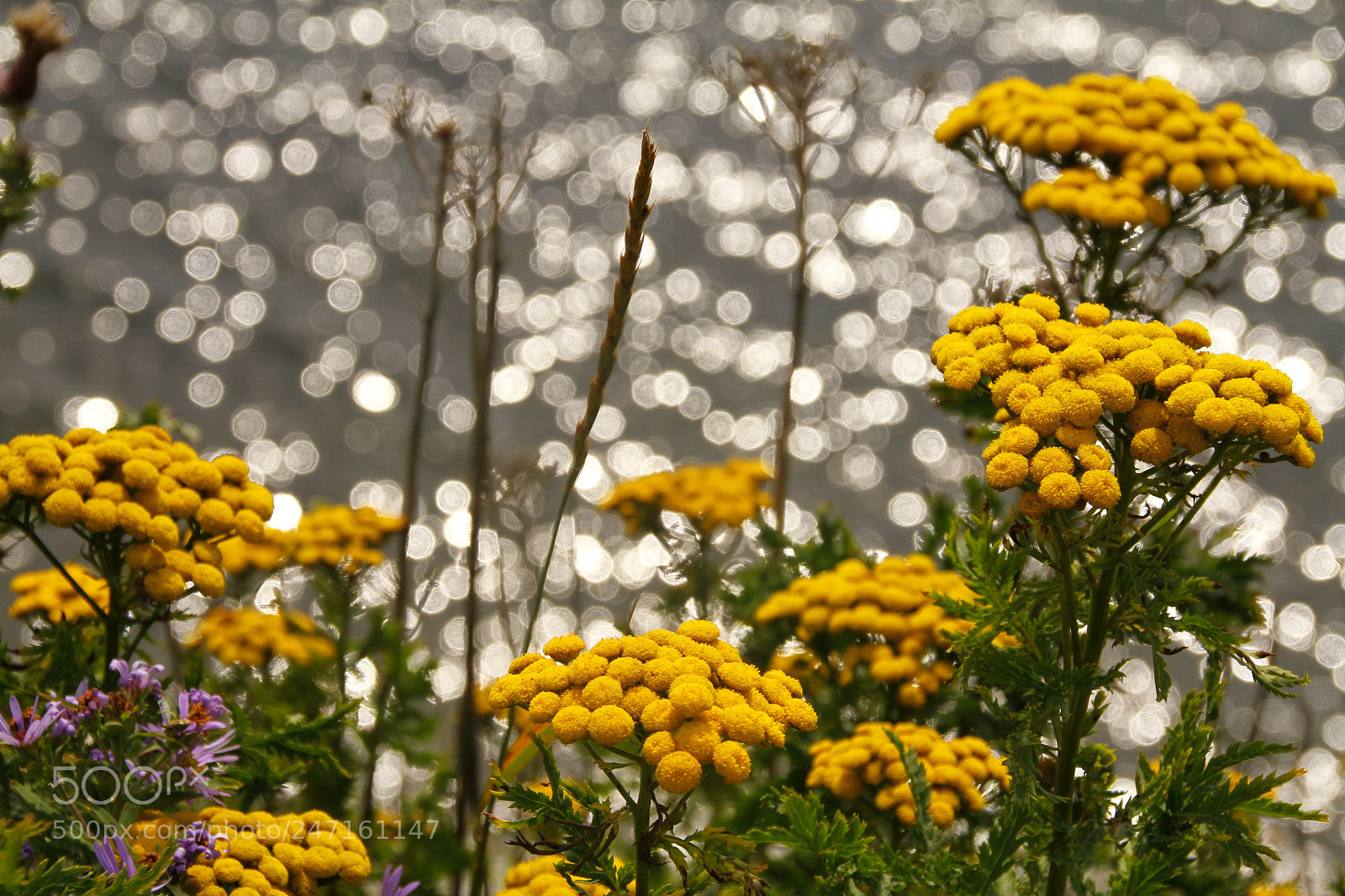 Canon EOS 7D sample photo. Img photography