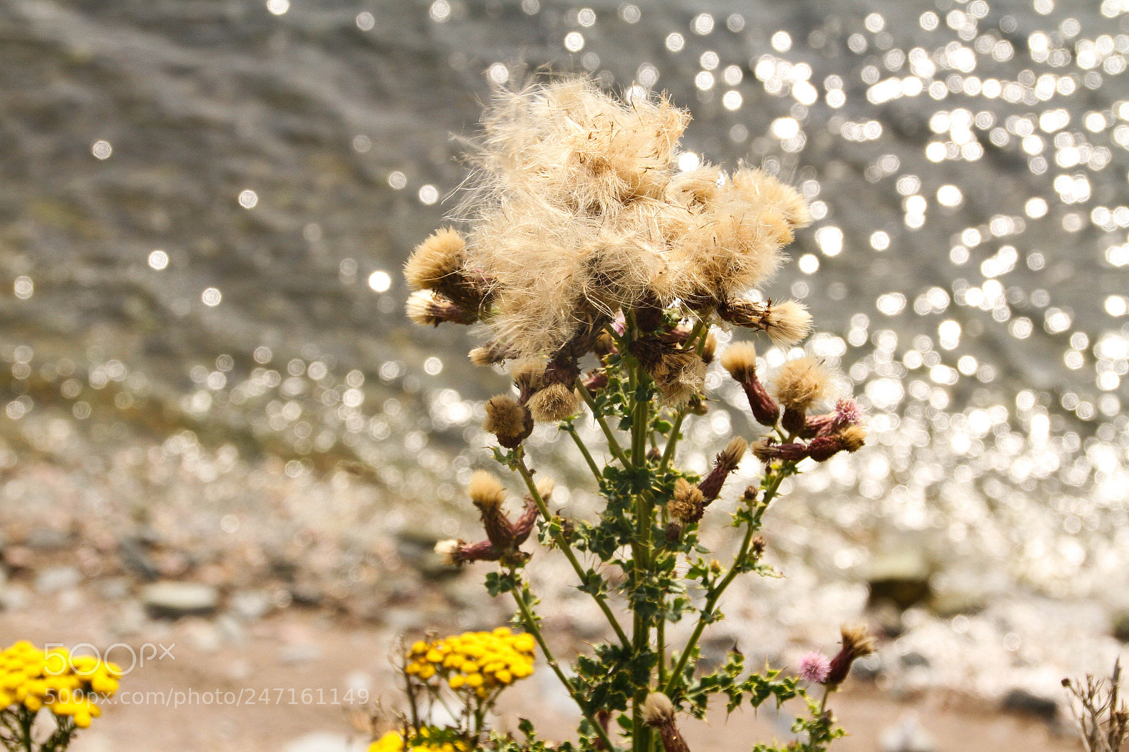Canon EOS 7D sample photo. Img photography