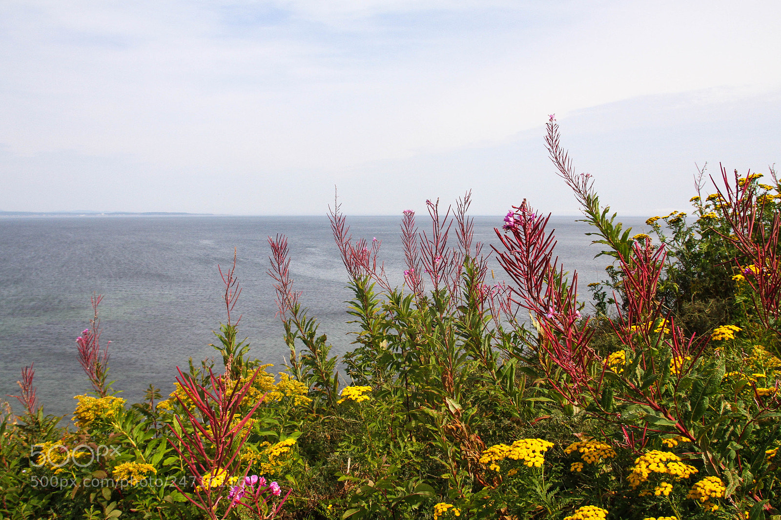 Canon EOS 7D sample photo. Img photography