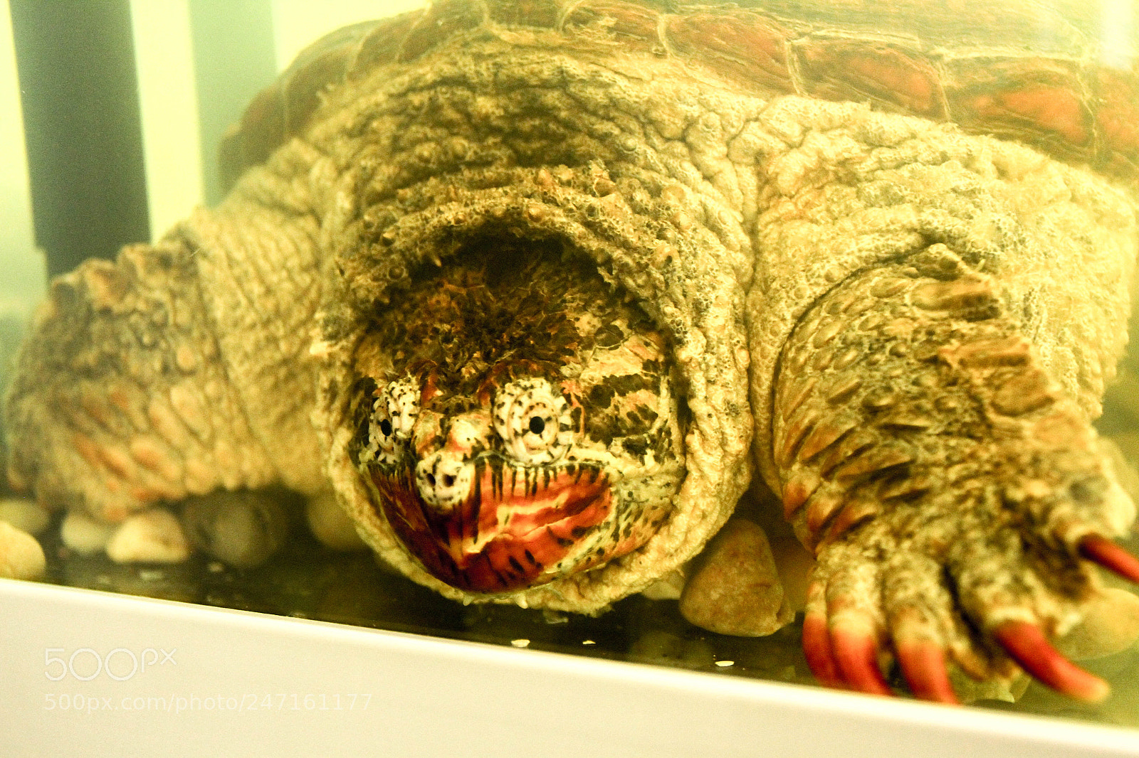 Canon EOS 7D sample photo. Img photography
