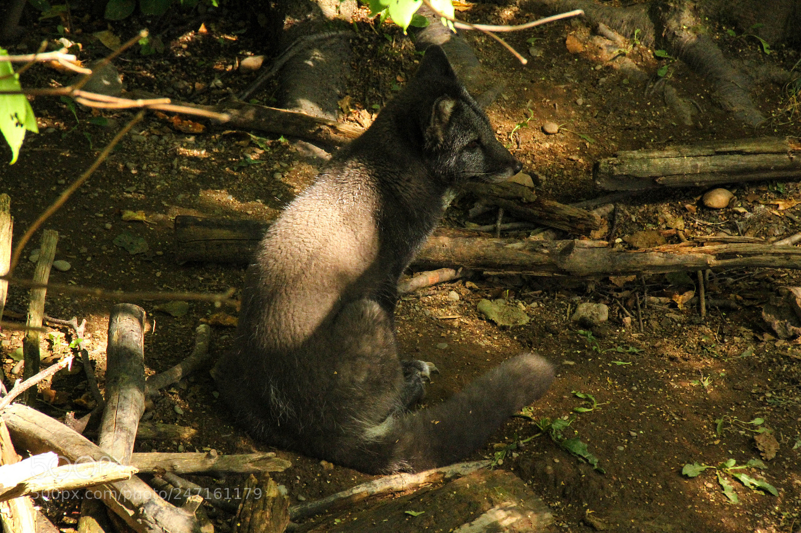 Canon EOS 7D sample photo. Img photography