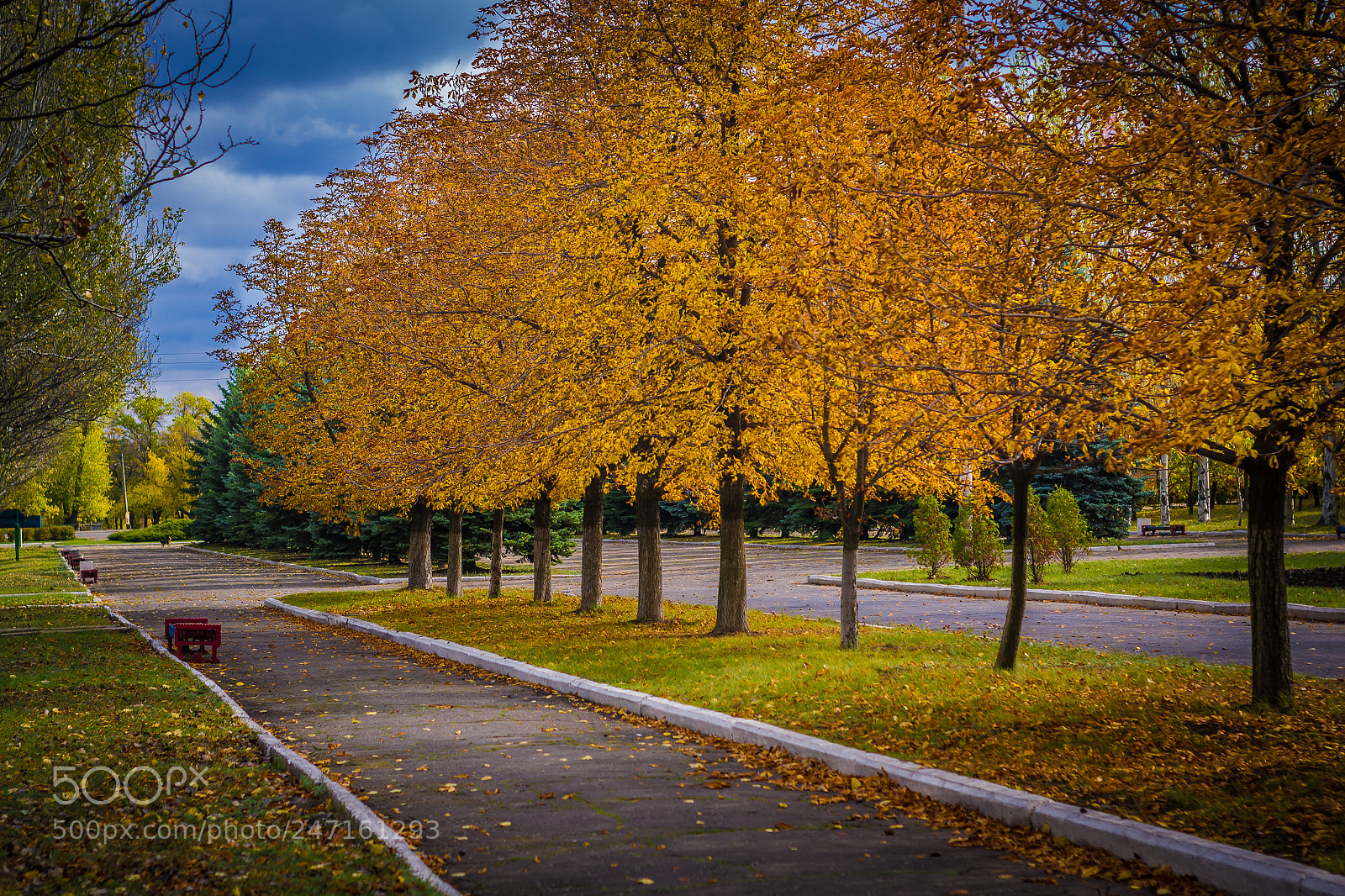 Nikon D3100 sample photo. Lane photography