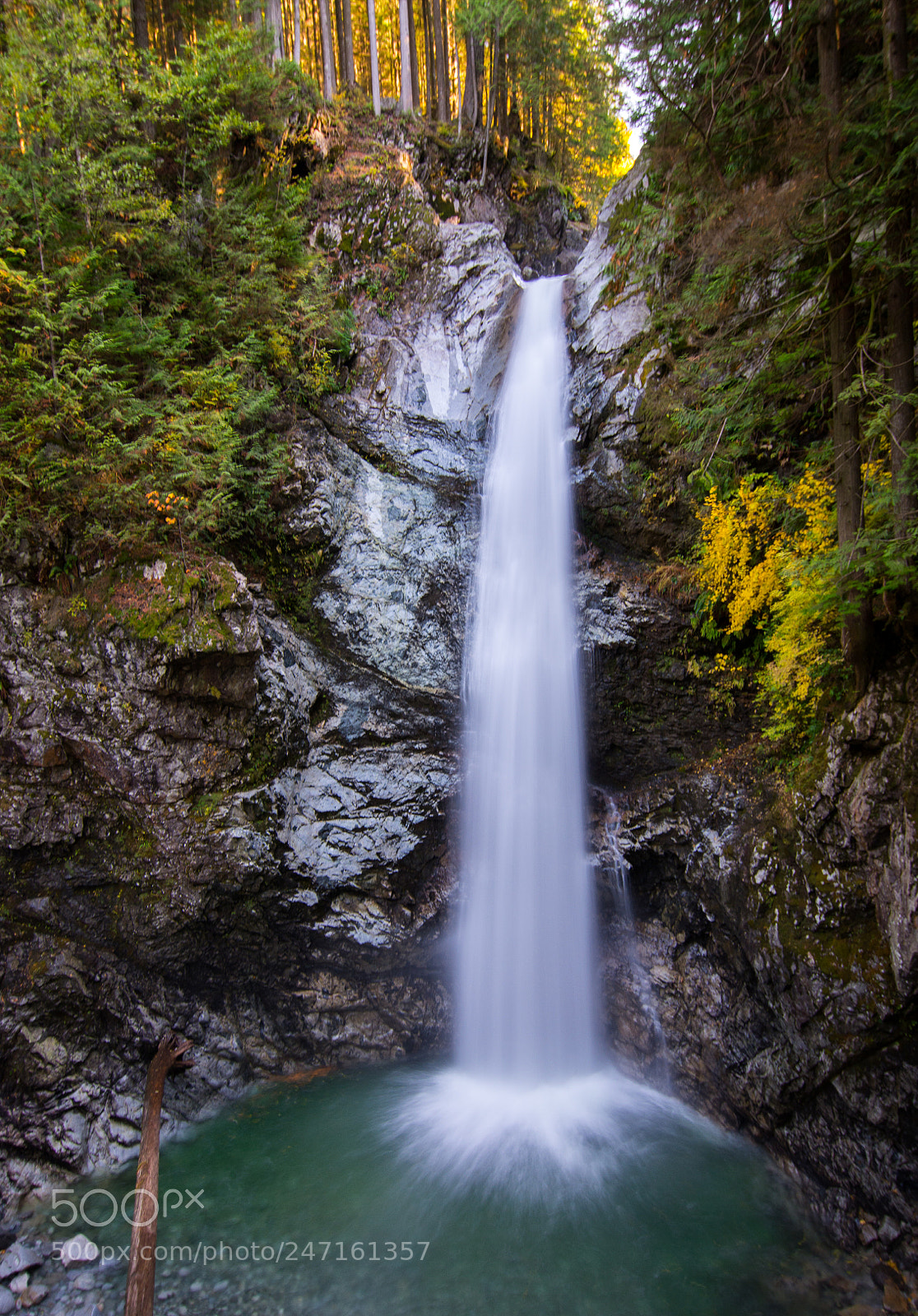 Nikon D7200 sample photo. Cascadia photography