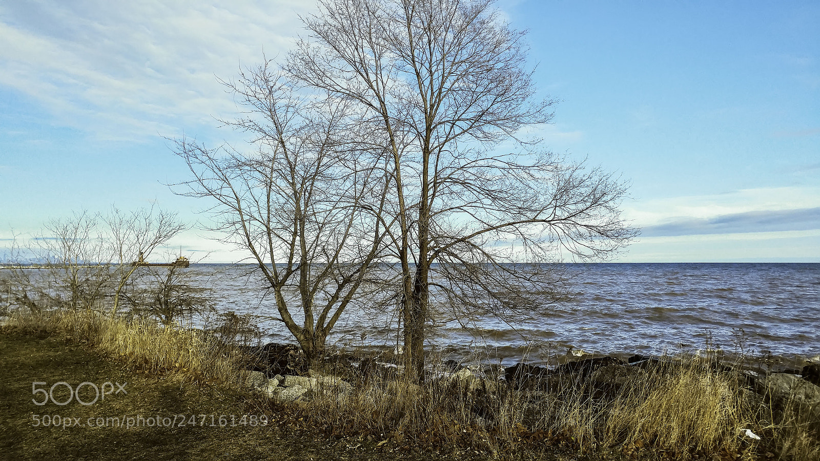 LG G5 sample photo. Lakeside photography