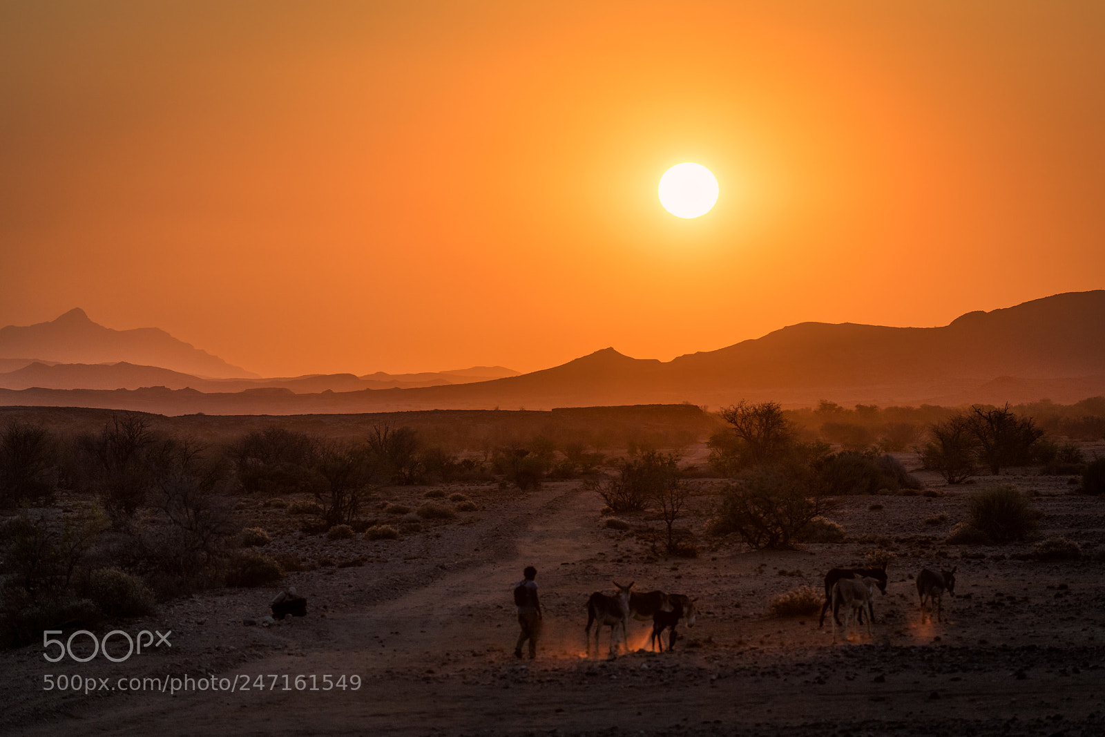 Nikon D850 sample photo. Damaraland sunset, namibia photography