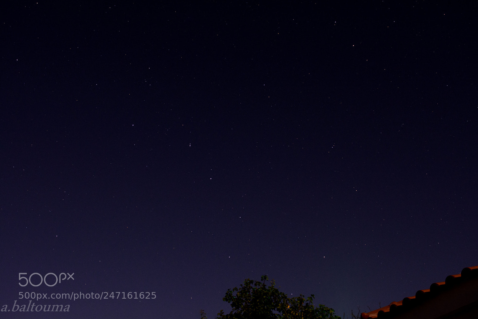 Nikon D5200 sample photo. Show me a shape... photography