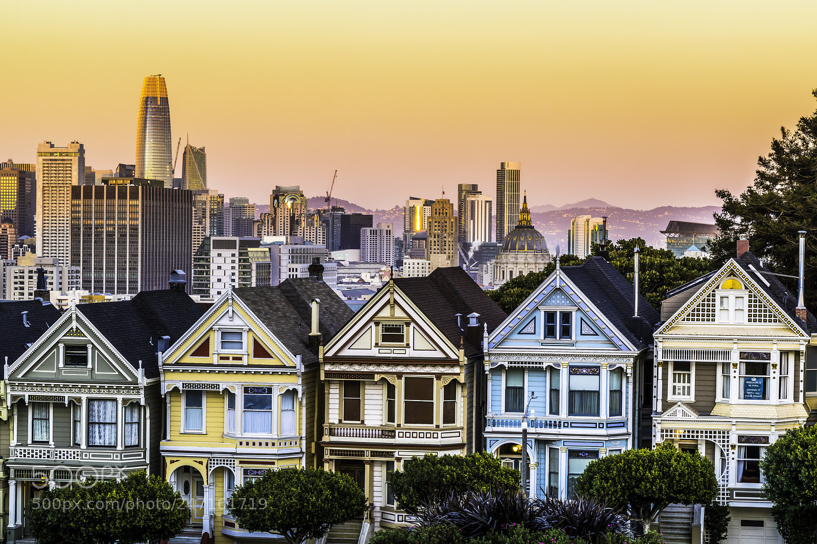 Canon EOS 80D sample photo. The painted ladies of photography