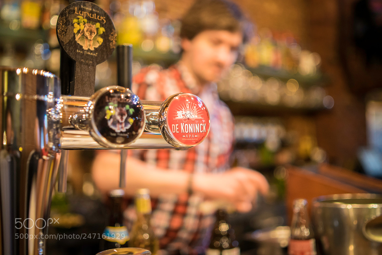 Sony a7 II sample photo. Lupulus and de koninck photography