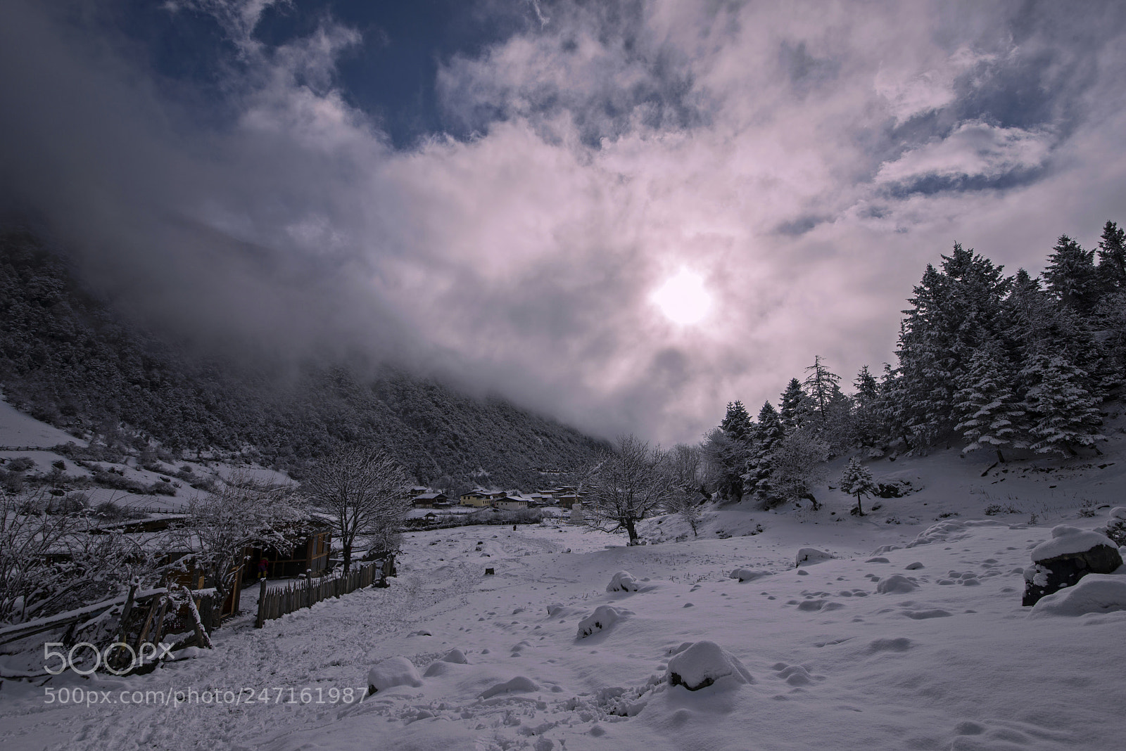 Nikon D800 sample photo. Snow photography
