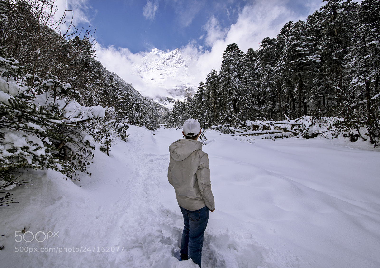 Nikon D800 sample photo. Snow photography