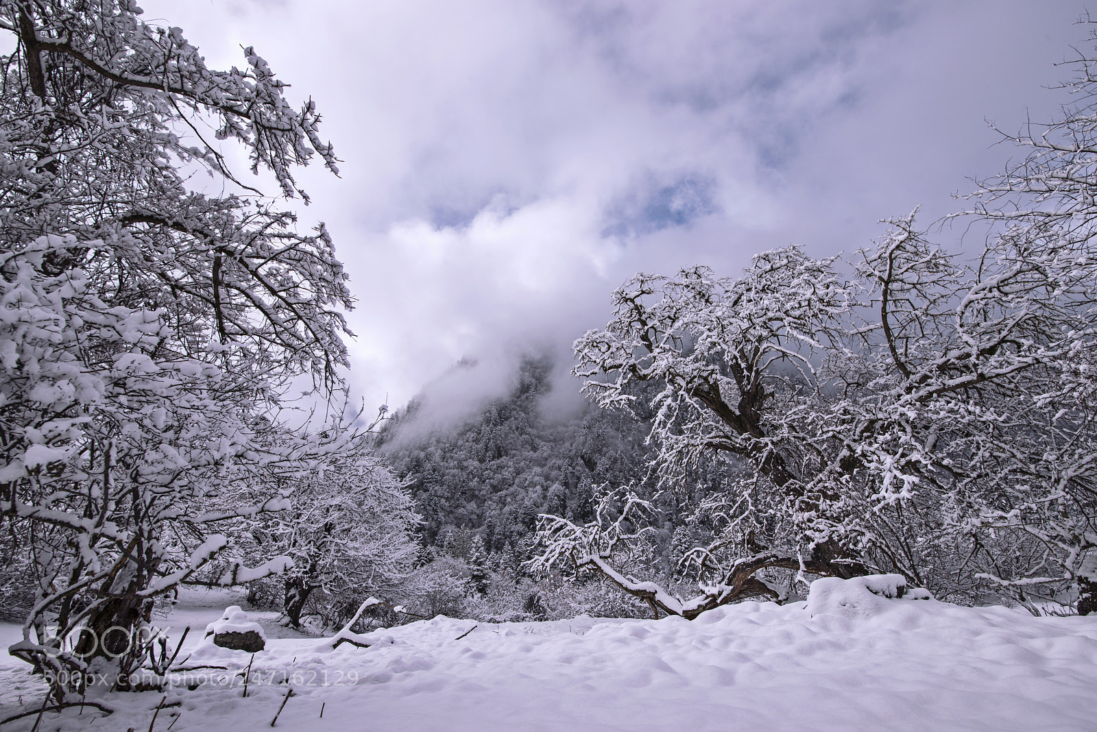 Nikon D800 sample photo. Snow photography