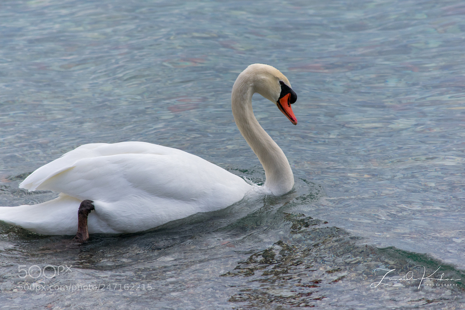 Nikon D3400 sample photo. Into the wave photography