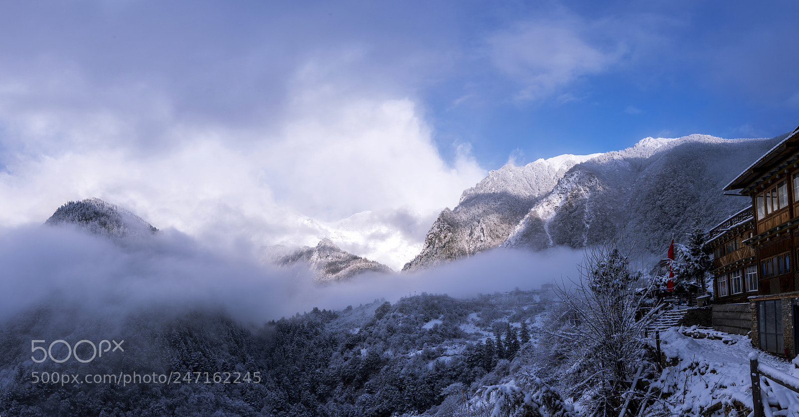 Nikon D800 sample photo. Snow photography