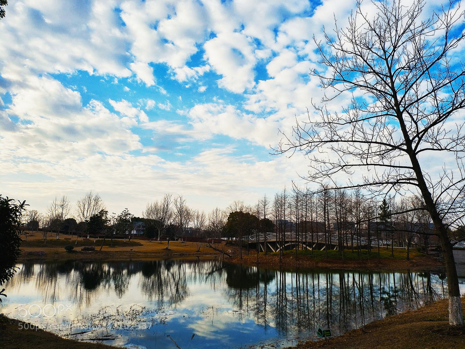 Xiaomi MIX 2 sample photo. Morning photography