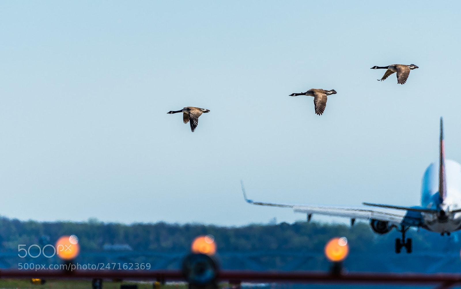 Nikon D500 sample photo. Cross flying photography