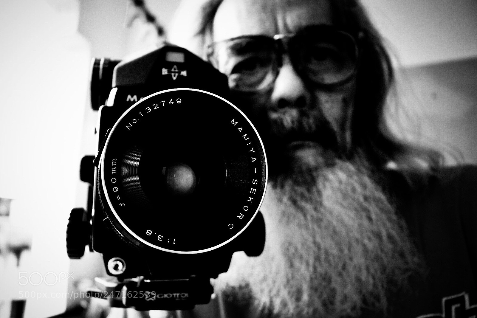 Canon EOS 80D sample photo. Back to the basic photography