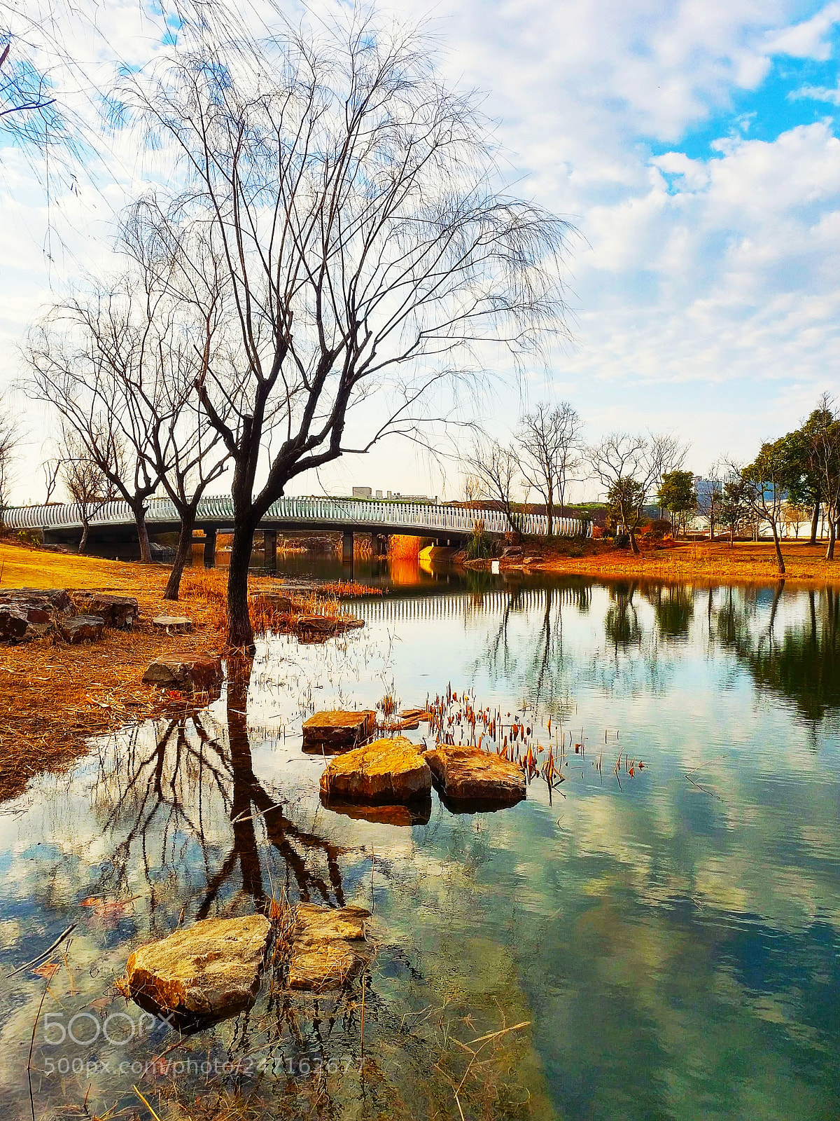 Xiaomi MIX 2 sample photo. Lake photography