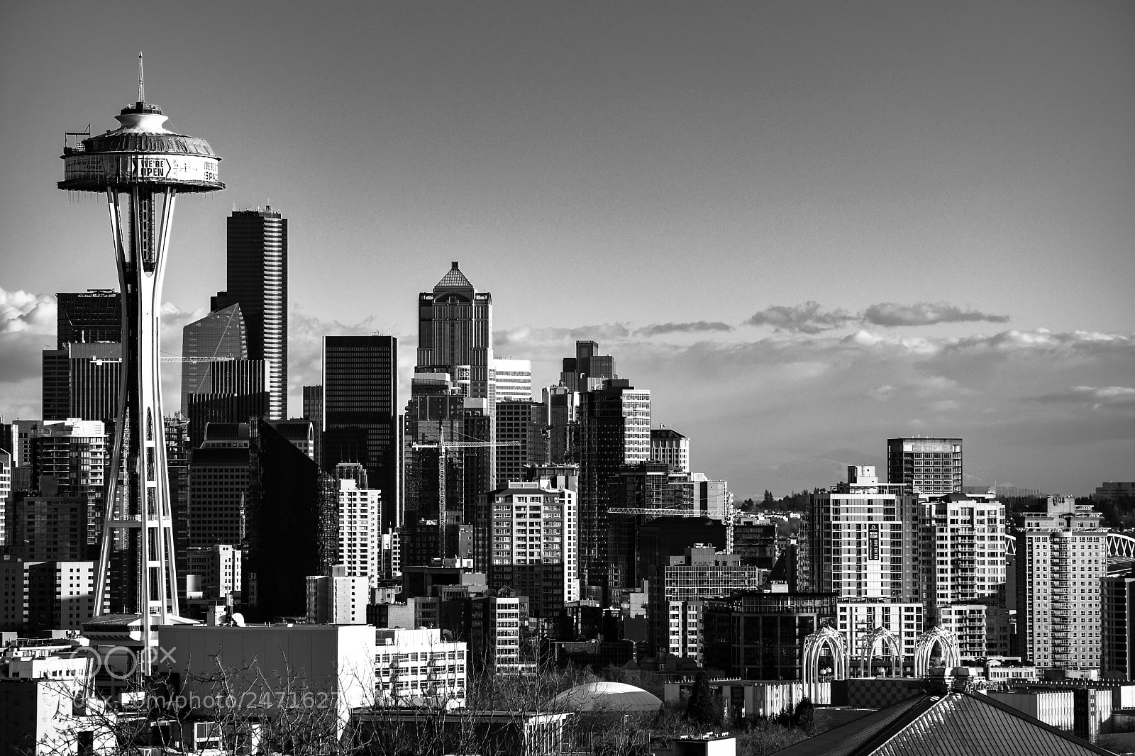Nikon D500 sample photo. “seattle skyline” photography