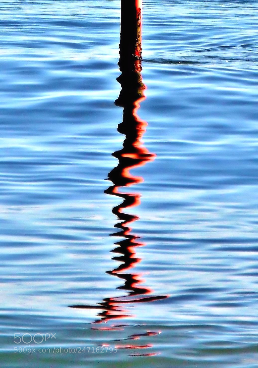 Canon EOS 60D sample photo. Red and blue photography