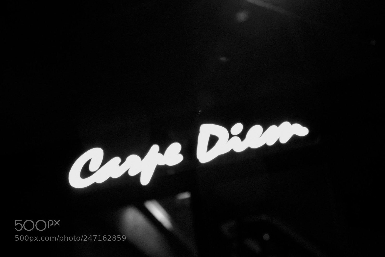 Nikon D3400 sample photo. Carpediem photography