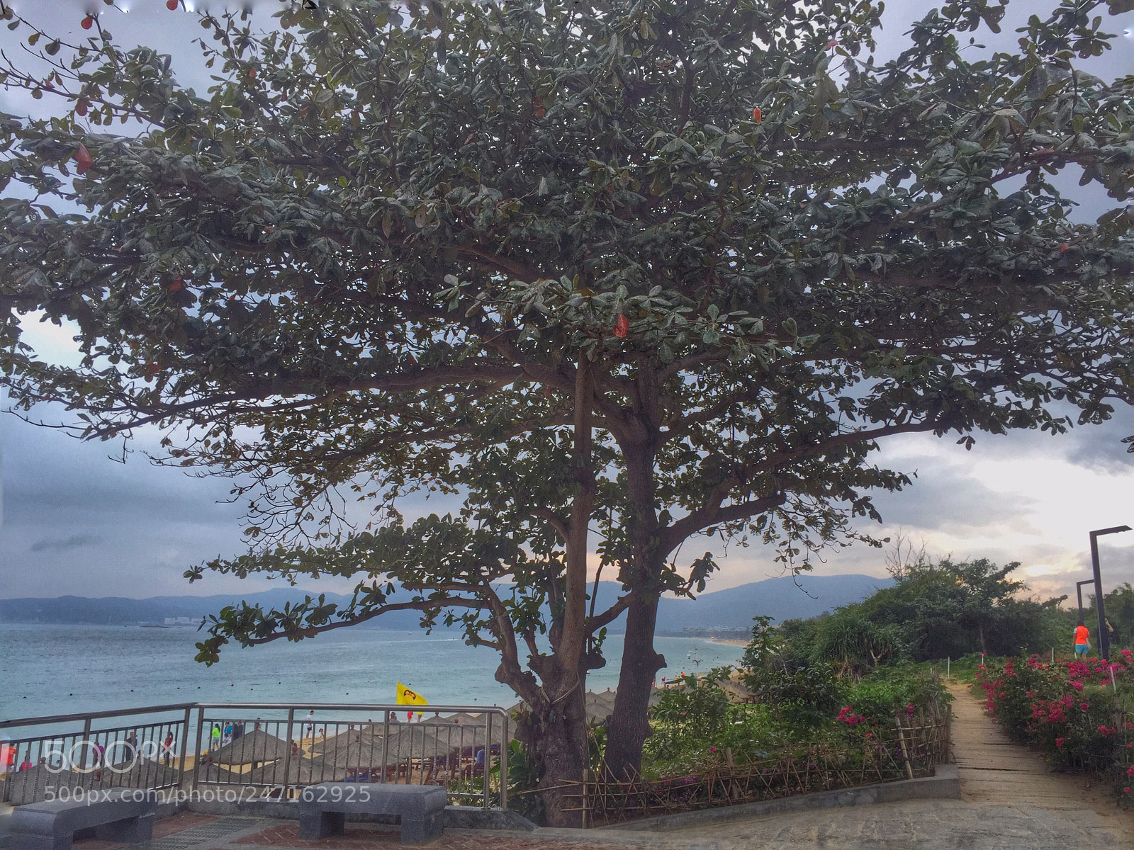 Apple iPhone 6 sample photo. 昨晚有人和我提到理想这个词 photography