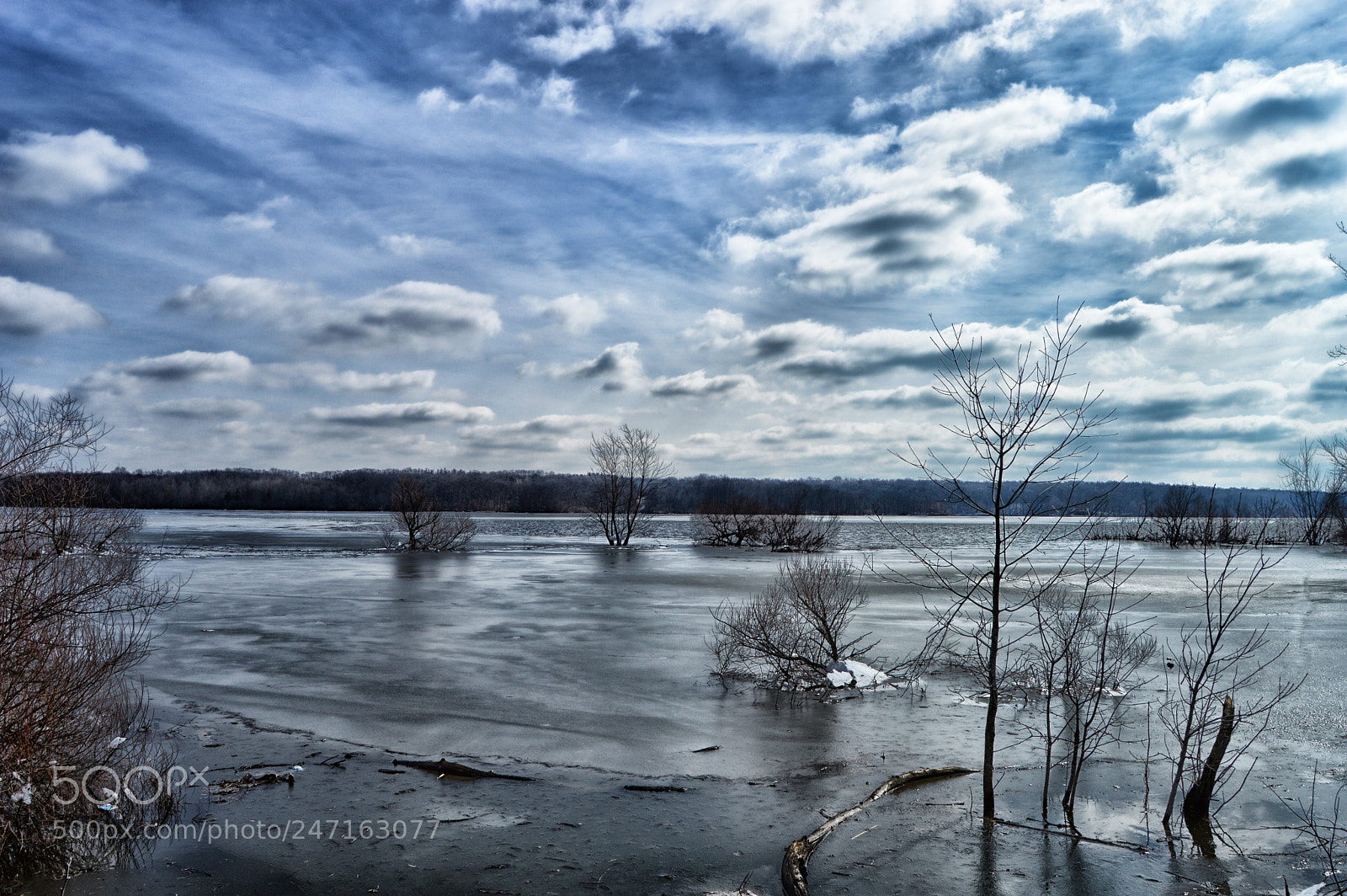 Nikon D3200 sample photo. Still frozen photography