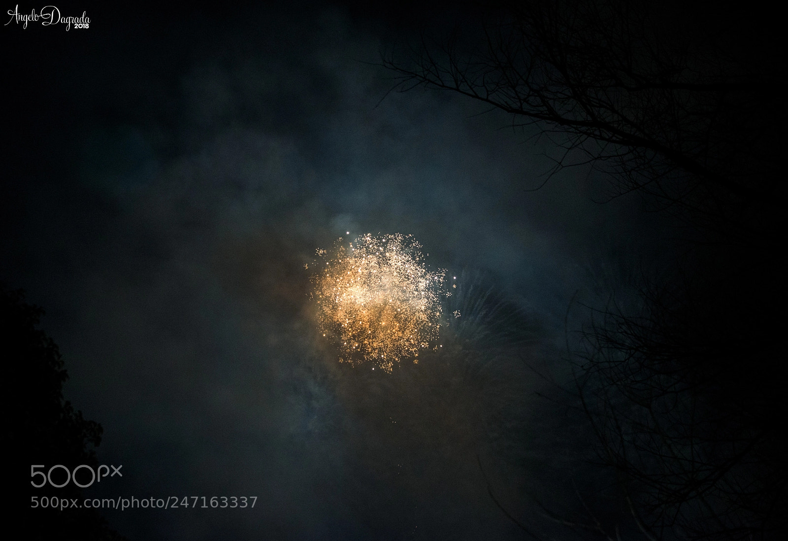 Nikon D610 sample photo. Nebula firework! photography