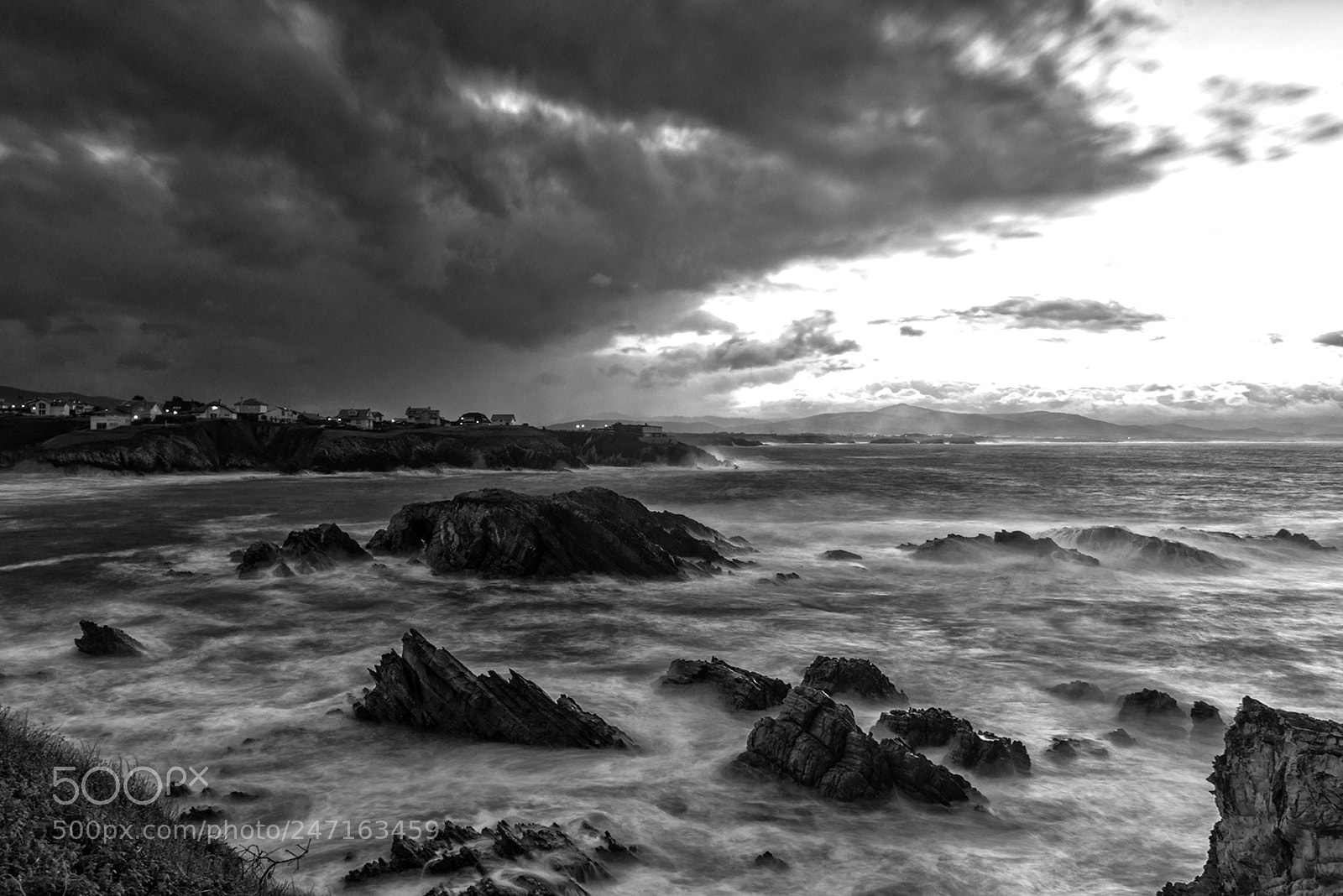Nikon D800 sample photo. Untitled photography