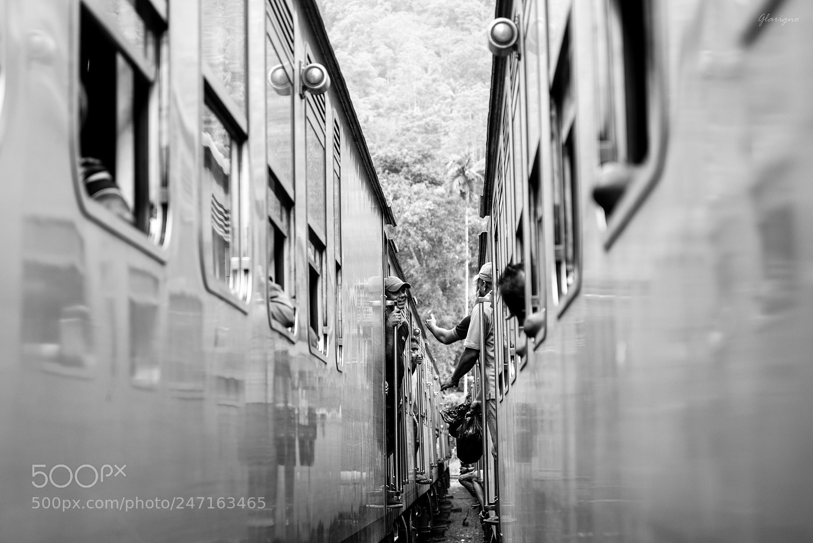 Nikon D610 sample photo. Sri lanka xviii photography