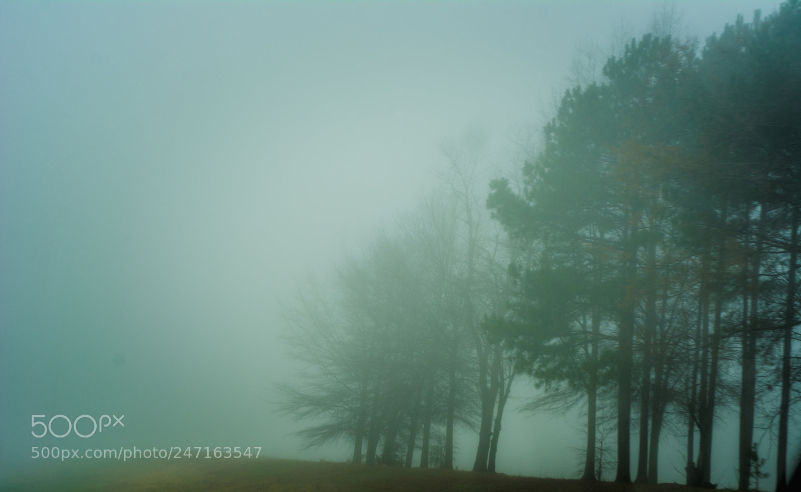 Nikon D7100 sample photo. Fog wilson nc photography